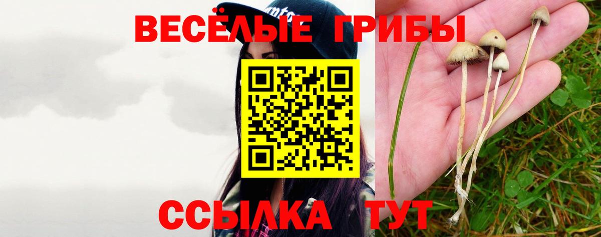 Галлюциногенные грибы прущие грибы  Галлюциногенные грибы Magic Shrooms  Соль-Илецк  Вход с VPN 